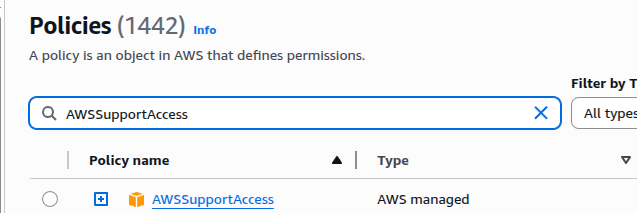 AWS Support Access Policy