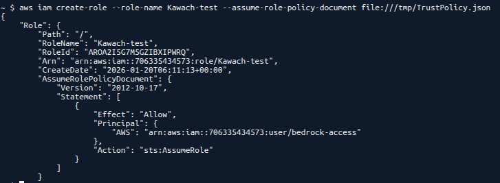 CloudShell Iam Output