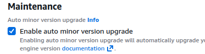 Enable auto minor version upgrade